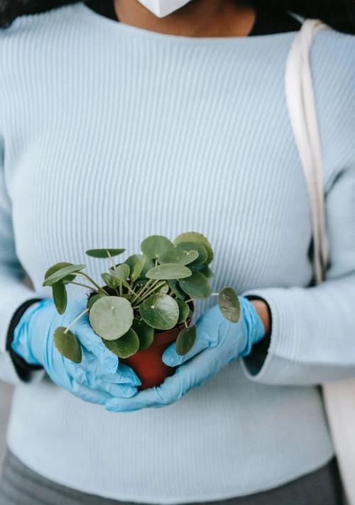 放射治疗|一半以上患者死于二次原发肿瘤！别怕：可防、可控