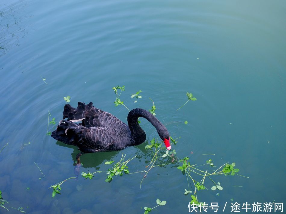 桐庐天子地，集樱花林、溶洞、湖泊峡谷的小众目的地，人少景美