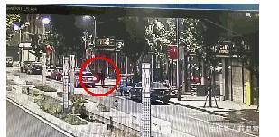 开一辆奔驰车,偷人家一盆虎刺梅,拘留所里呆7天,太丢人了