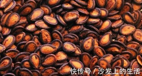 瓜子|高血压的人有福了常吃此物,利肺润肠,止血降压,预防动脉硬化