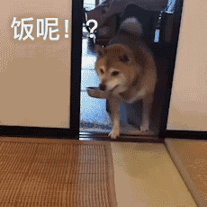 |搞笑图集:你们公司中秋发了啥?网友:发了个通知,说不放假