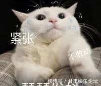 少年团|这档让我等的茶饭不思的节目,今晚八点十分开播