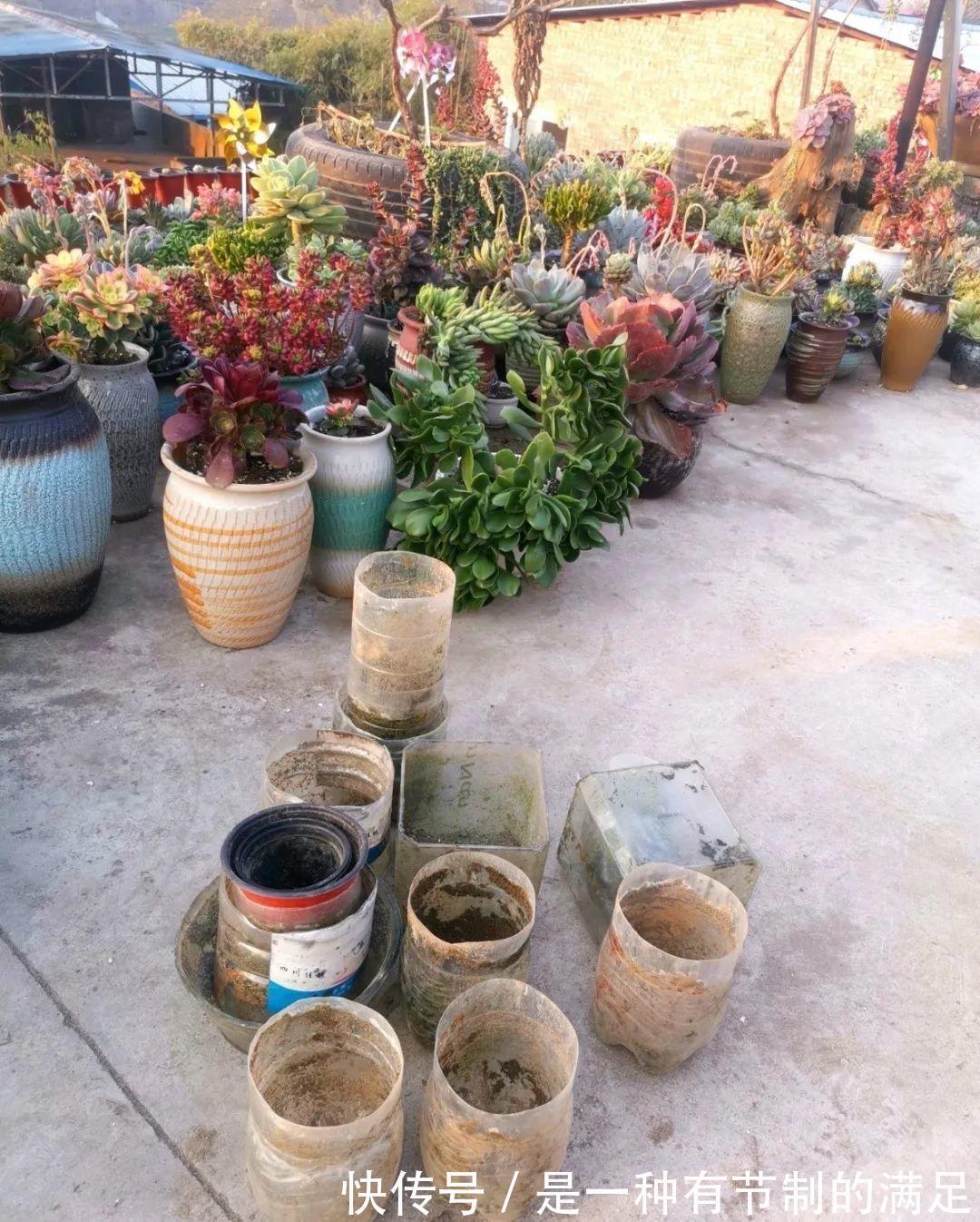 四川大哥养多肉,创意无极限,生活巴适得很!