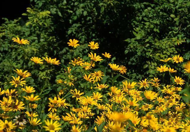 思念$守一座心城,想你到老