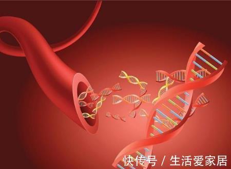 预防血栓|如果体内有血栓,观察手脚就知道,三个小动作,冲洗血管远离血栓