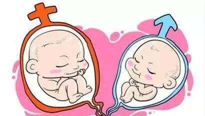 试管婴儿能决定生男女吗通过试管能要双胞胎或者龙凤胎么