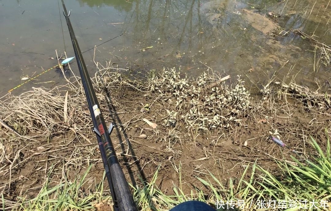 野钓|7款经典的钓鱼竿,想当年可都是野钓利器,你听过几个?