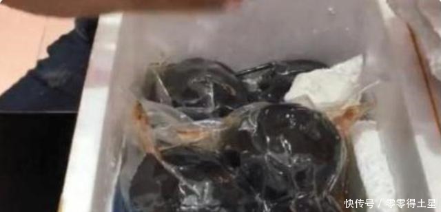 男子网购“东北冻梨”,尝后表示太难吃,东北人看到吃法已笑趴