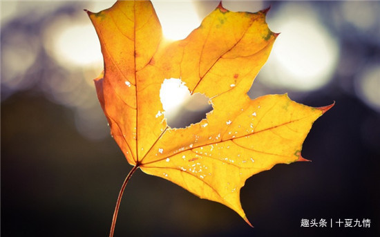 家产|独生女父母悲哀攒下三套房,给女儿换大房后,被女婿父母吃绝户