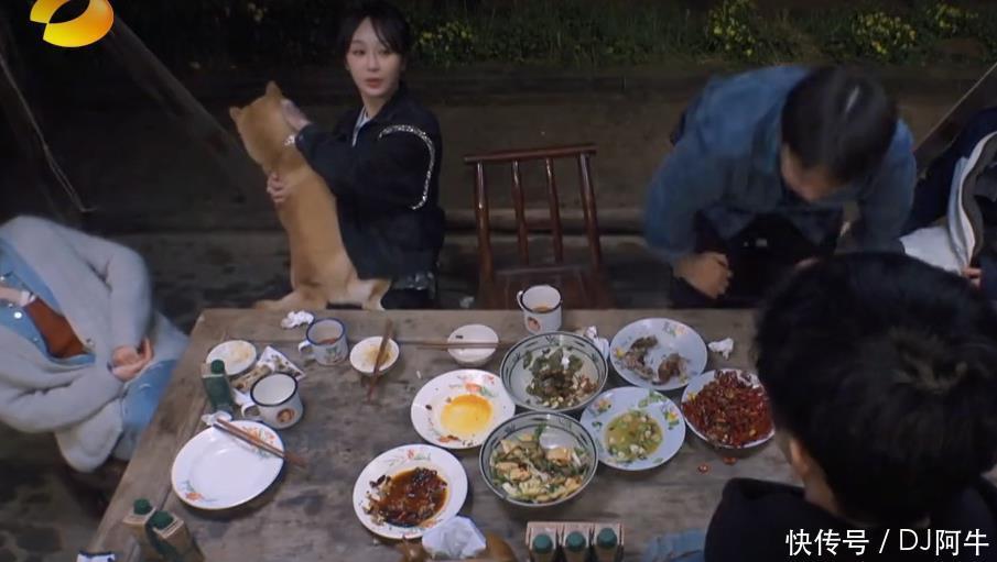 厨艺|《向往的生活5》黄磊厨艺滑铁卢彭昱畅选择太真实，亏大了