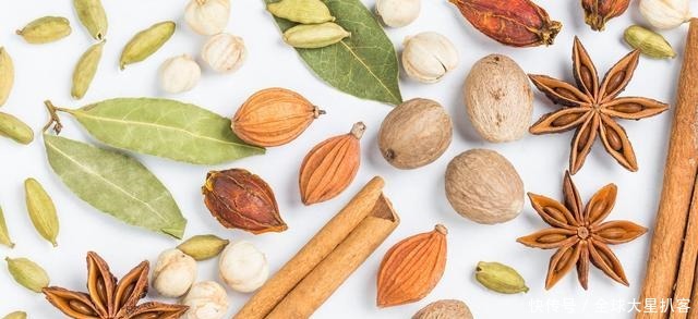 于刚接触|卤水入门,如何从香料的芳香、苦香类区分着手,形成香料应用认知