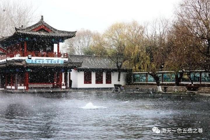 百脉泉|雪泉共舞，百脉氤氲：泉城第一场雪，百脉泉飞花穿庭，盛雪芳华