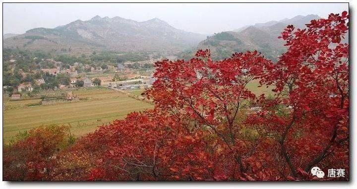 晏几道&青未了/仰天山红叶行