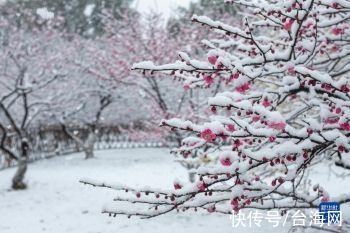 雪落|杭州：雪落西湖「图」