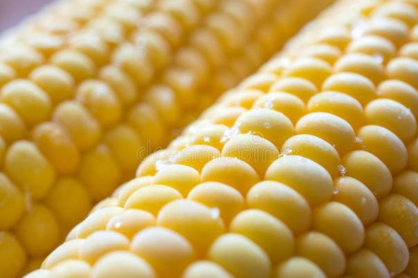 保存玉米，直接放冰箱，还是煮熟再冷冻教你一招，新鲜不变味