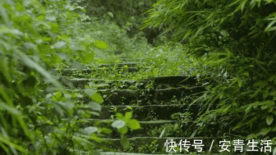 大堰塘|一家四口隐居深山中,三年无经济收入,他们凭什么生存