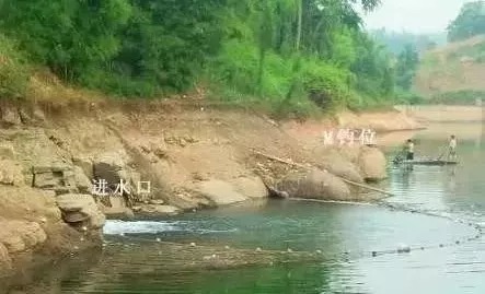 冬钓只会选深水？揭秘冬季最出鱼的钓位！