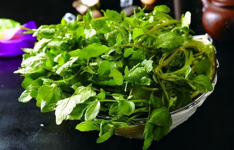 长寿老人都爱吃三种食物，排毒护肝，滋补身体，促消化，防止便秘