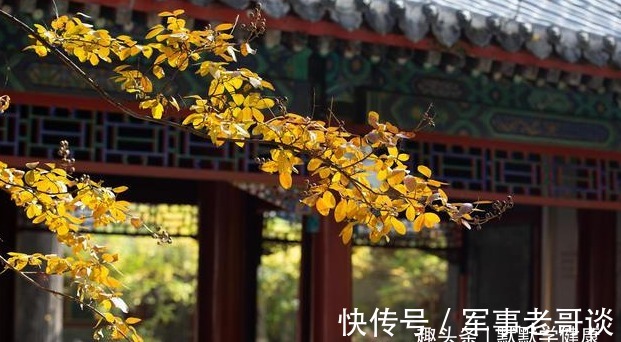 排痰|秋天是身体排痰的好季节,这样做养肺排痰,清除体内垃圾!