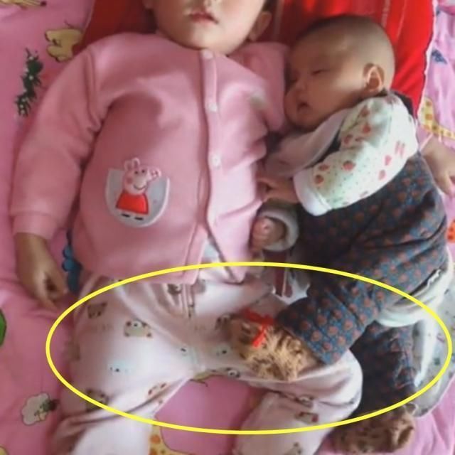 大宝|哥哥哄弟弟睡着了，妈妈掀开被子看到这一画面，心都暖化了