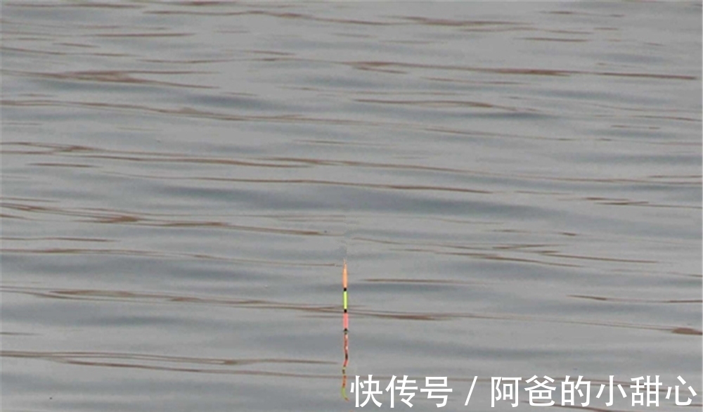 调漂方法大全:图解挂单饵调漂,状态不灵不钝,最适合野钓鲫鱼