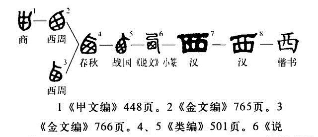 栖息#东南西北四个字的本意，甲骨文揭开谜团，古人想象力太丰富了