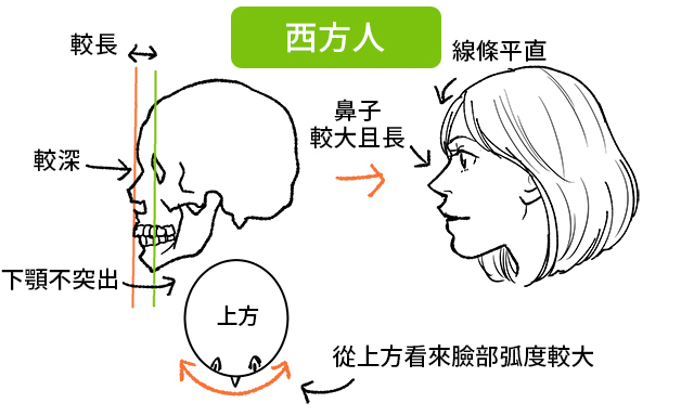  板绘鼻子详细画法干货详解！让人感到惊艳的鼻子绘製方法！