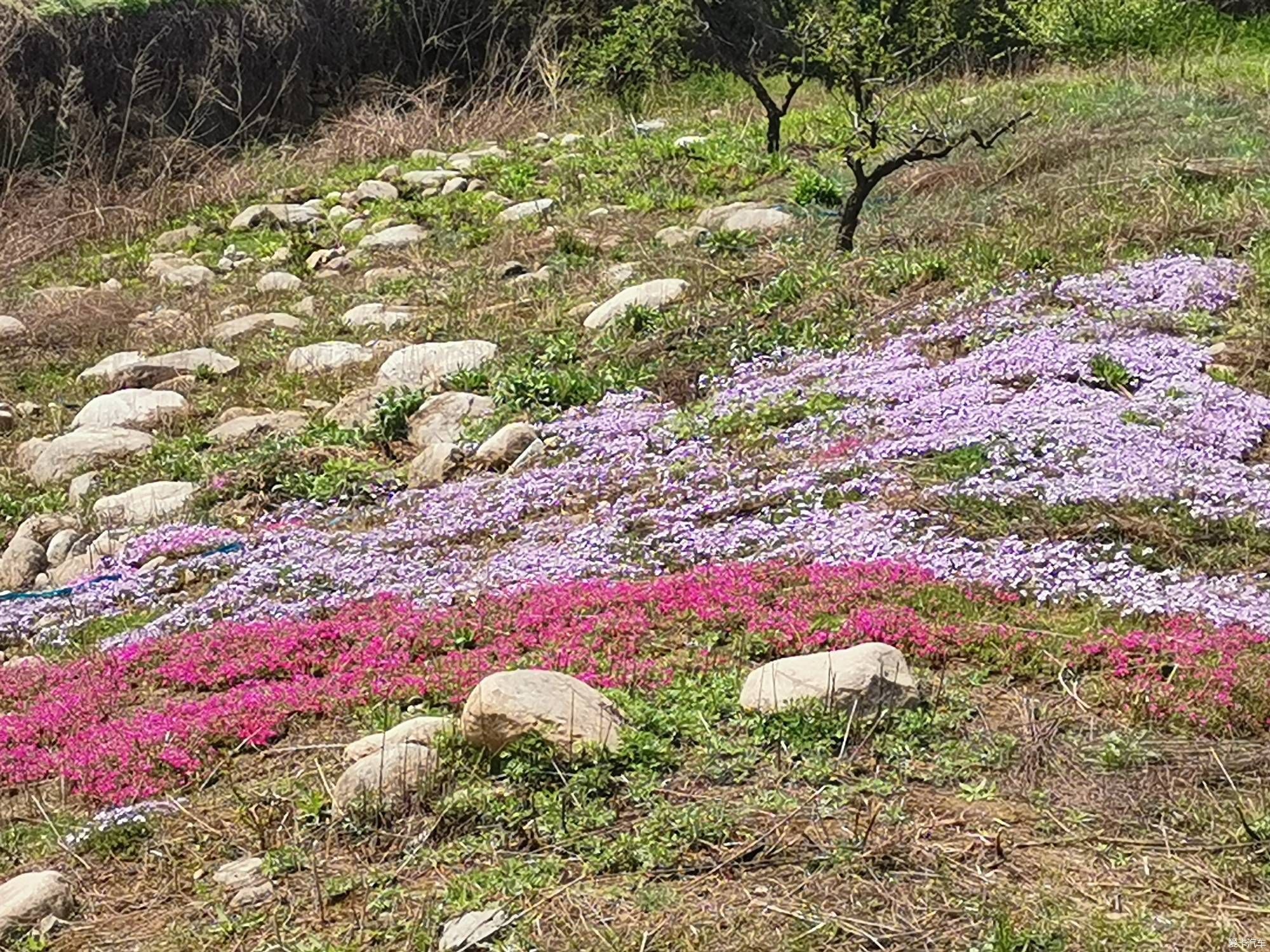 【陕西是我家】渭南天留山小镇透个气