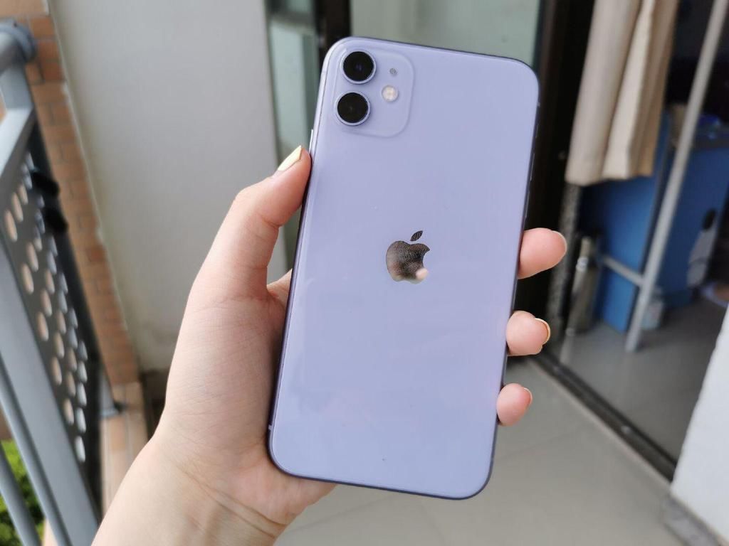 符合|苹果召回部分iPhone11：符合这一个条件可免费更换屏幕