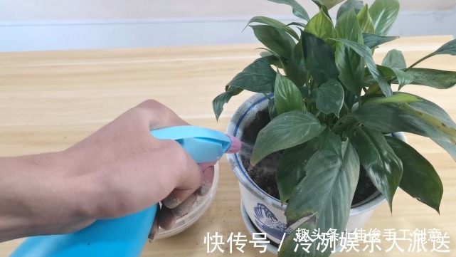 蚊香灰别再倒掉了,收集起来省钱又实用,进来学学吧!