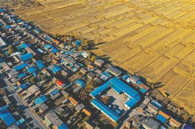 秋天|留住秋天的回忆