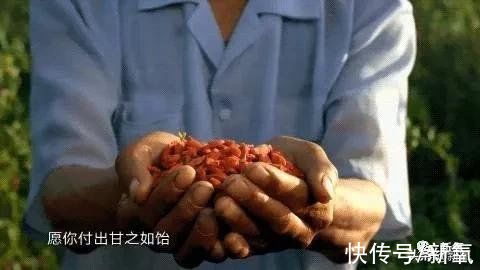 人参|被她美到不能入睡，哭了三十多分钟？