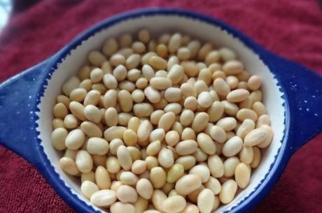 打豆浆时,用生豆子还是熟豆?做对了,豆浆香浓营养无豆腥味