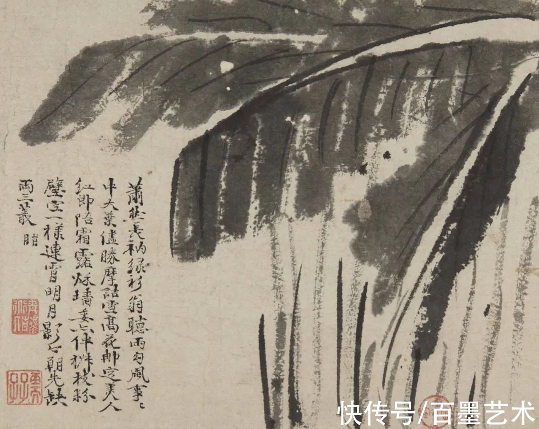 萱花#欣赏 | 草书入画，爽心悦目