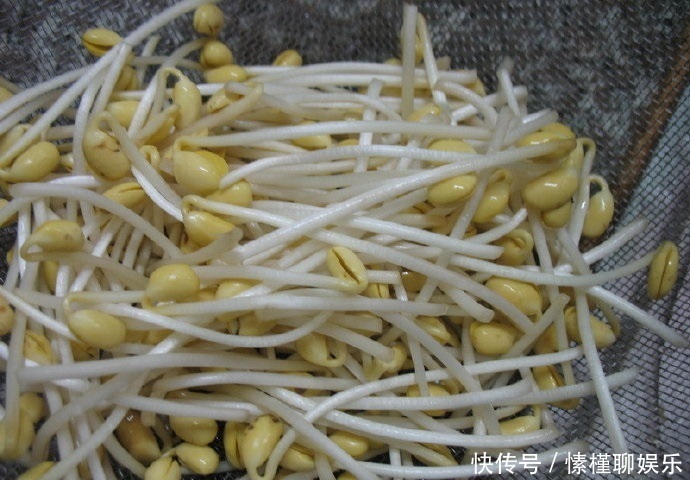 生菜|现在开始,花盆里养上“3种菜”,整个冬天“吃火锅”随便摘