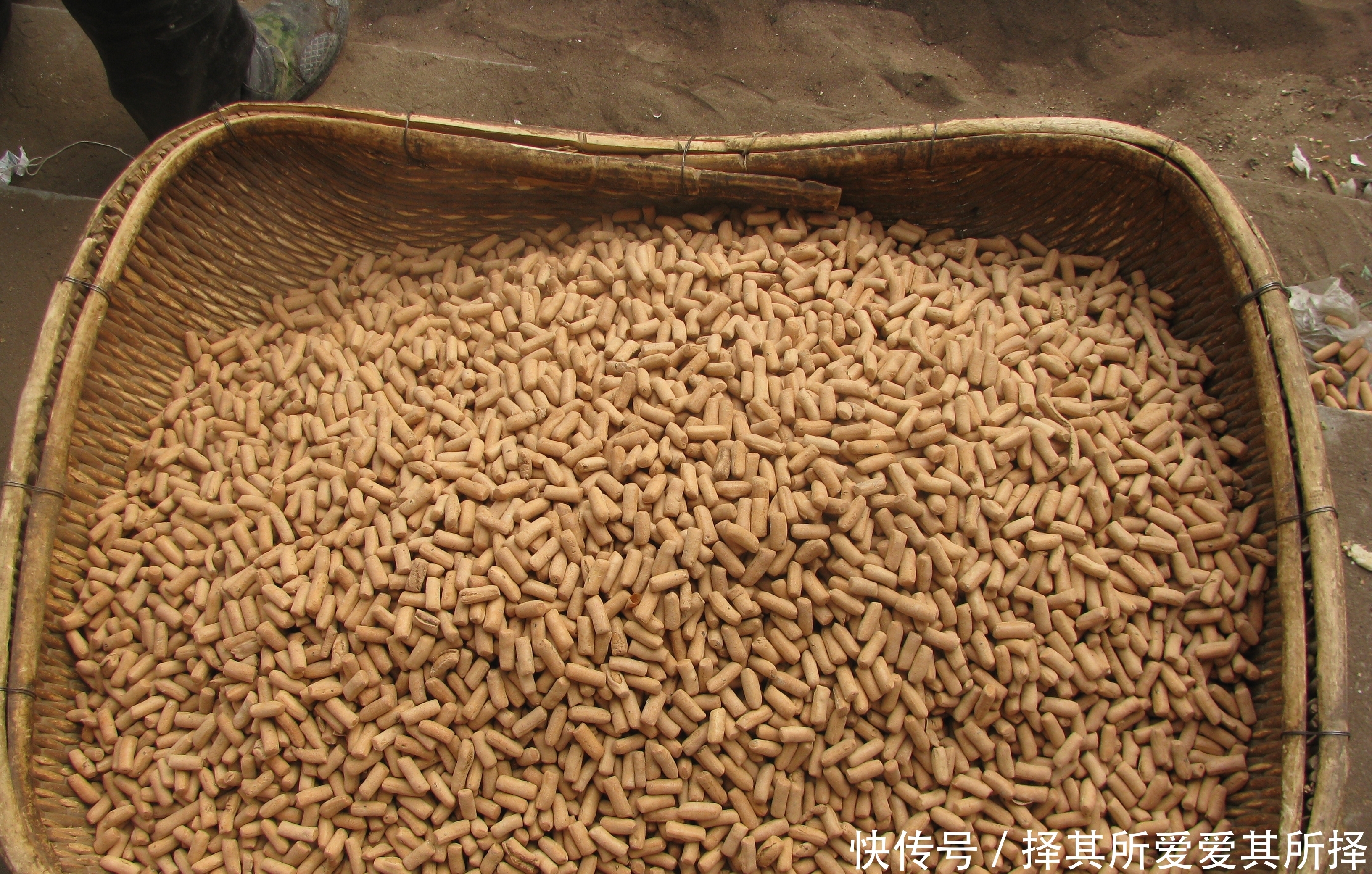 土里蹦出来的小吃,你吃过没?