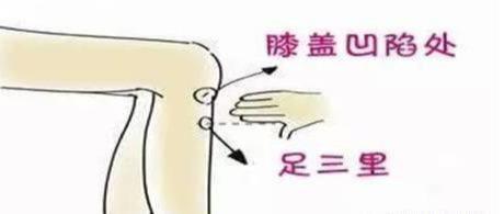 不吃晚饭|晚餐,决定人的体重和寿命!想要健康长寿,坚持五个一