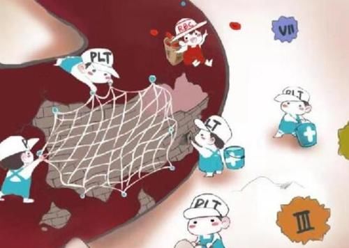 补充|老年人预防脑梗，补充叶酸很重要，如何补才正确？