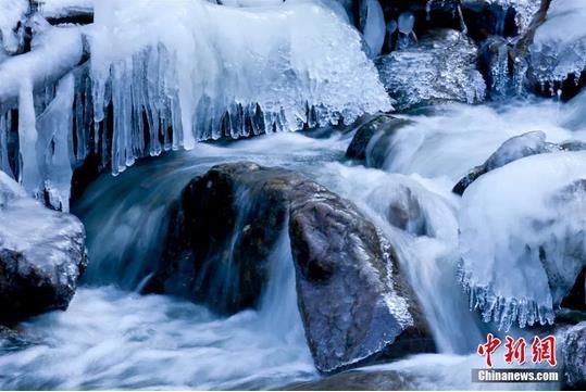 今日|今日小雪 | 天冷勿忘加衣 愿你今冬一切安好