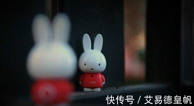 插画师|米菲兔活跃在各个行业,光靠脸一年就赚12亿,被荷兰人当做国宝