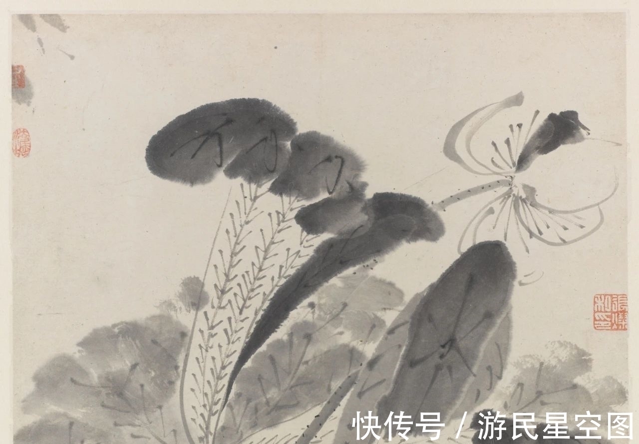 津门&「津门网」见画如见字、见字如见人,看这组清新的荷花您有啥感受