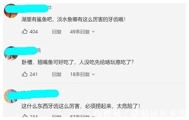 万峰湖：有人将钓起来的翘嘴鱼放在水里，转眼被吃得只剩个鱼头