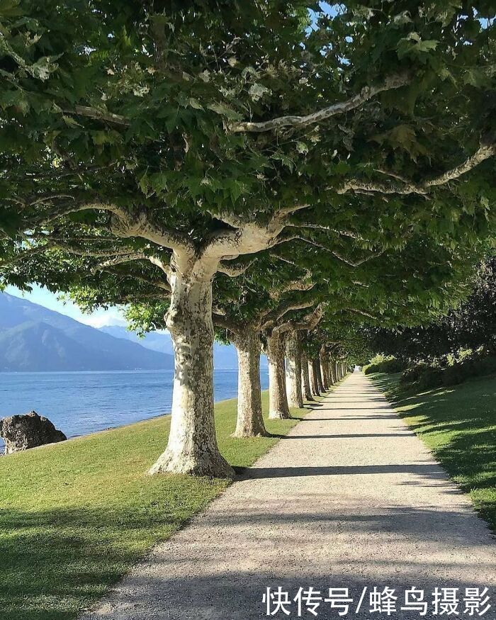 小屋|60个世界上那些令人惊叹的设计，家设计成这样，你还想去上班吗