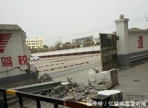 倒霉|这位车主看来倒霉了,撞了一头怀孕的牛,这下要赔很多钱