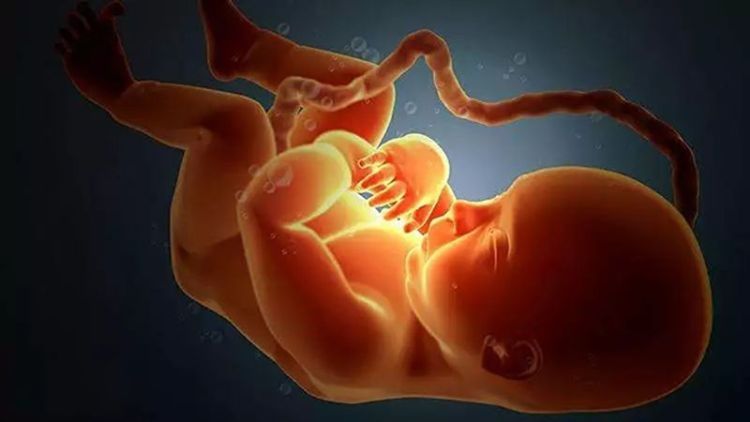 孕妈晚上睡觉时，胎儿在肚里干嘛呢？小家伙太皮了