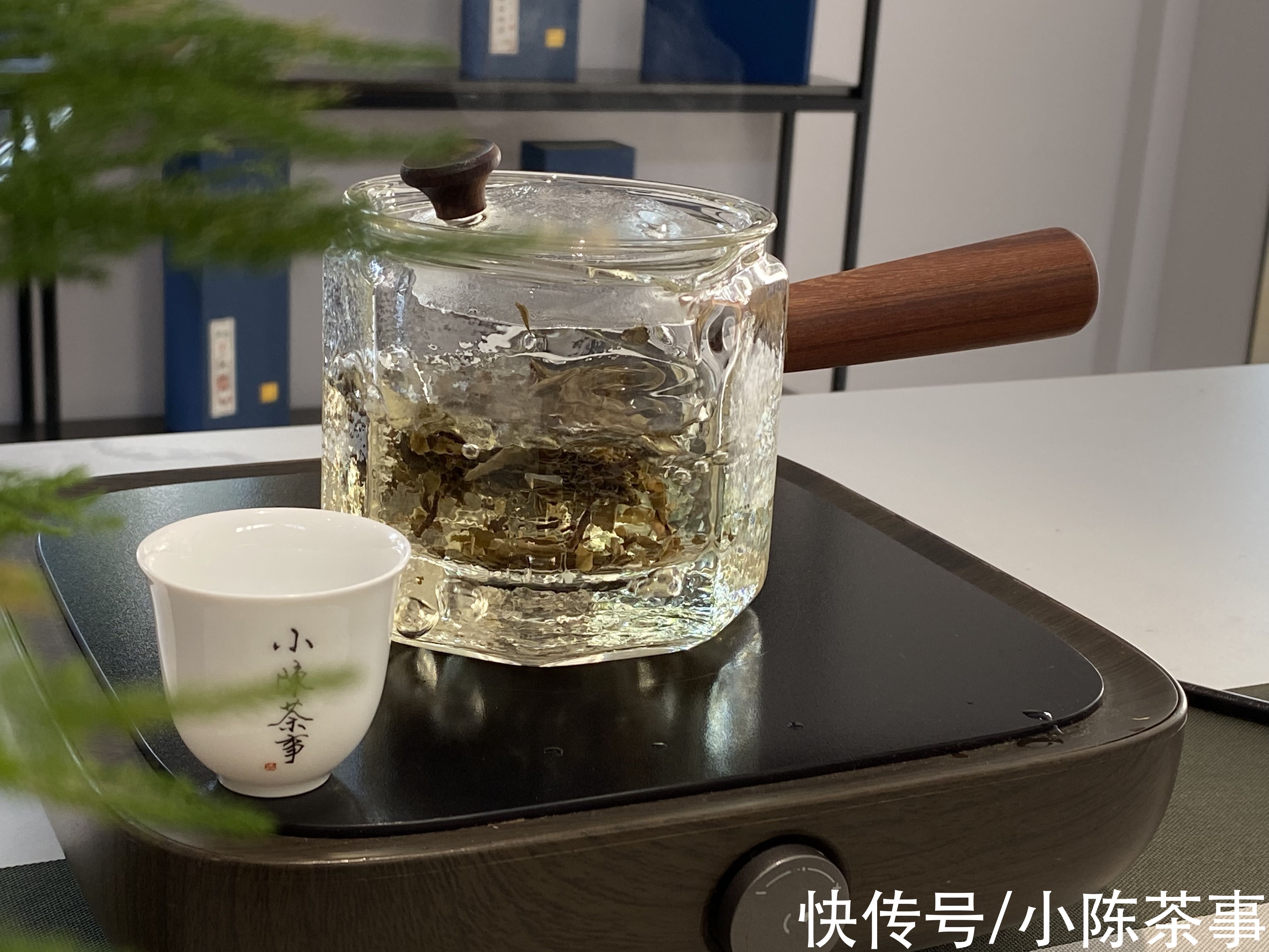 茶叶$常喝白茶的老茶客，整理的投茶量标准，盖碗、玻璃杯、煮茶壶齐了