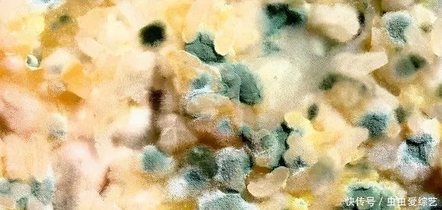 每天吃一点坚果，明目补肾、缓解便秘，但有三种人要慎吃