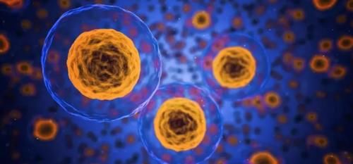 药铺|中医养生的至高境界:六成疾病靠自愈