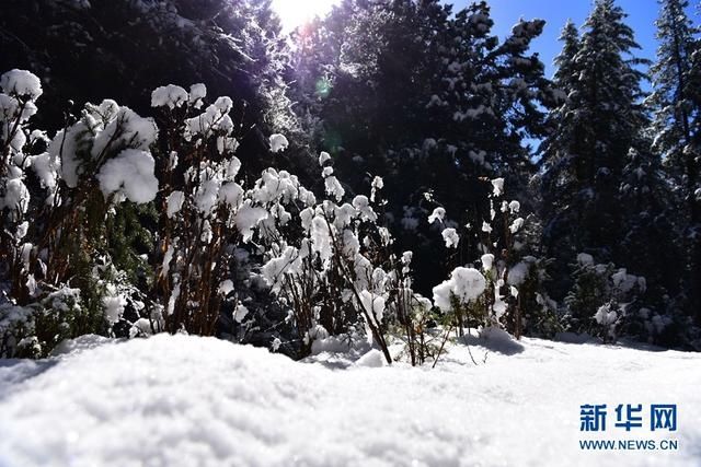 风情|裕固风情走廊 夏日“冰雪世界”