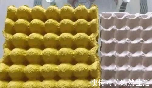 鸡蛋|扔垃圾时,鸡蛋托盘一定要留下,放阳台用处多,朋友见了纷纷学习